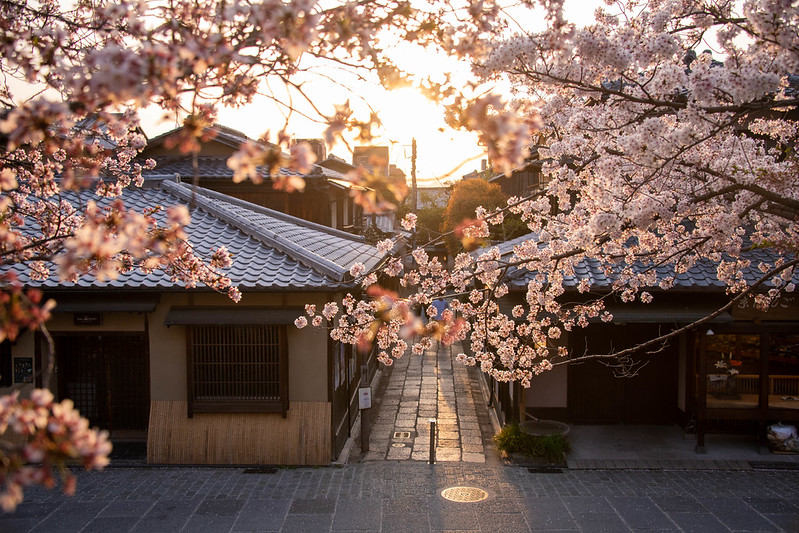 Ishibe Koji